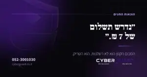 הונאות עונת החגים — CyberGuard
